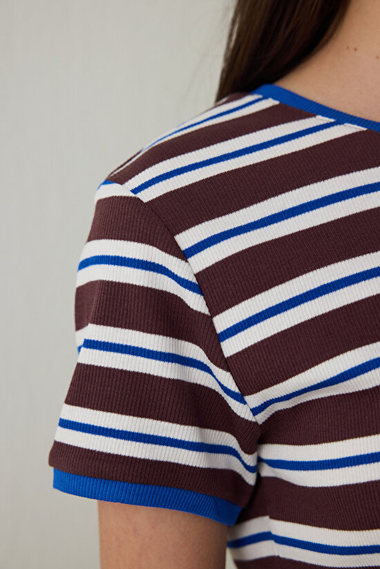 Brown Steppe Tulip Crew Neck Striped Crop T-Shirt - Inspired by Flora - 9