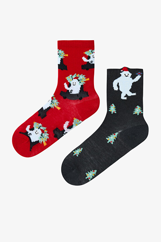 Çok Renkli Erkek Çocuk Yeti 2li Soket Çorap - 1