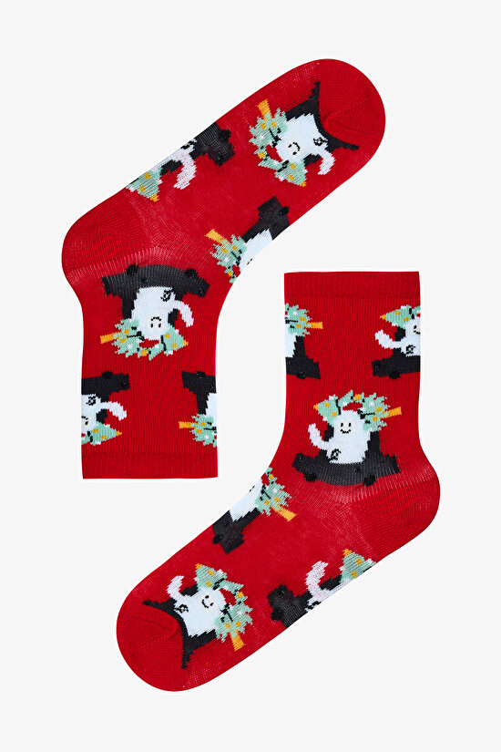 Çok Renkli Erkek Çocuk Yeti 2li Soket Çorap - 3