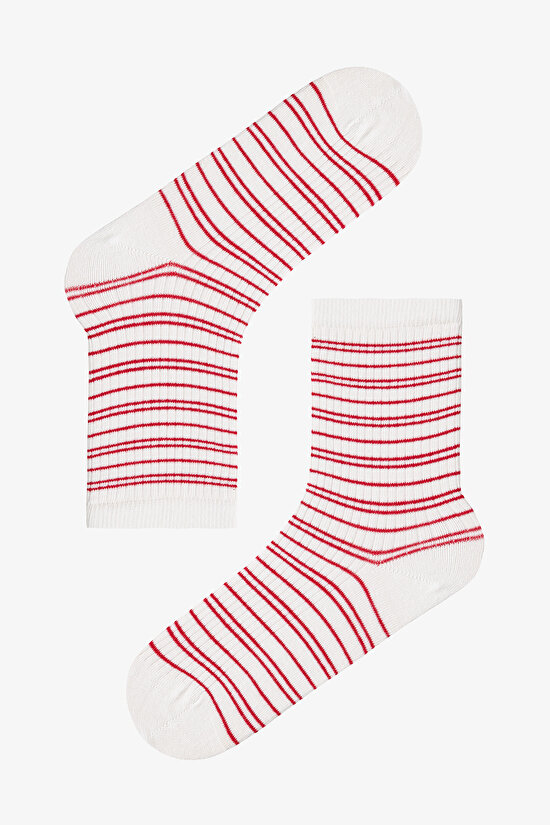 Navy - Beyaz Marine Stripe 5'li Soket Çorap - 6