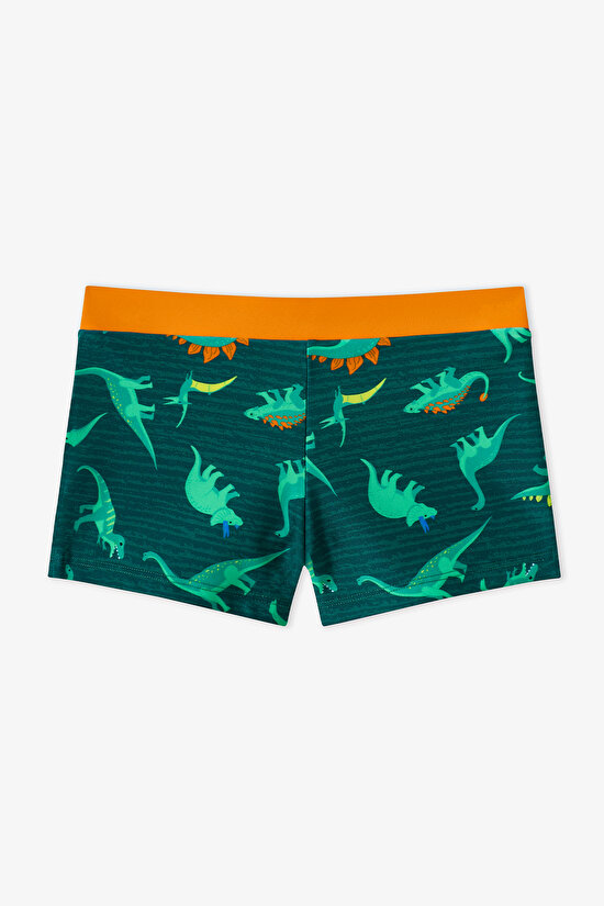 Multicolor Boys Dino Energy Trunk Swimsuit - 1