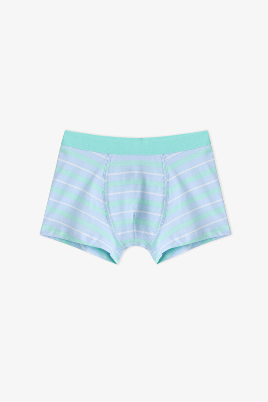 Boys' Blue Dino Bones Striped 3 Pack Boxers - 3