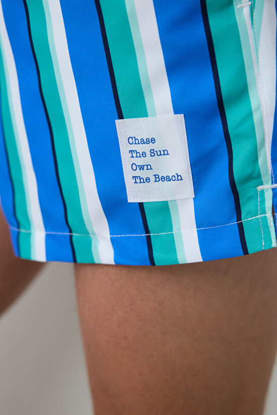 Çizgili Erkek Şort Mayo - 3