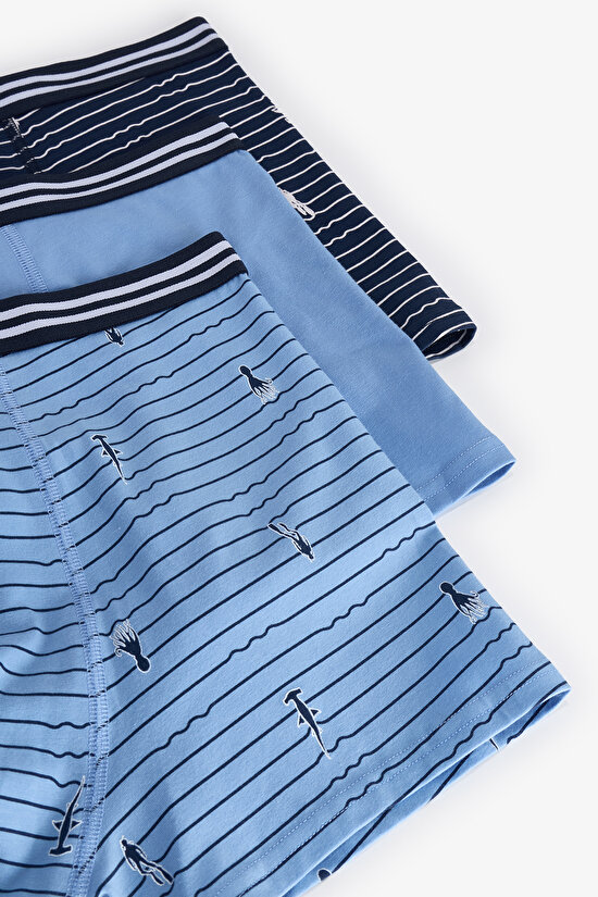 Erkek Renkli Wild Sea Çoklu Boxer - 5