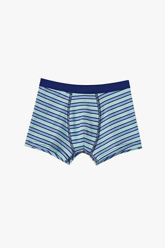 Mavi Erkek Çocuk Fishy Friends 3'lü Boxer - 3