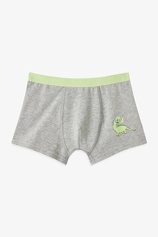 Colorful Boys Dino 3 in1 Boxer - 4