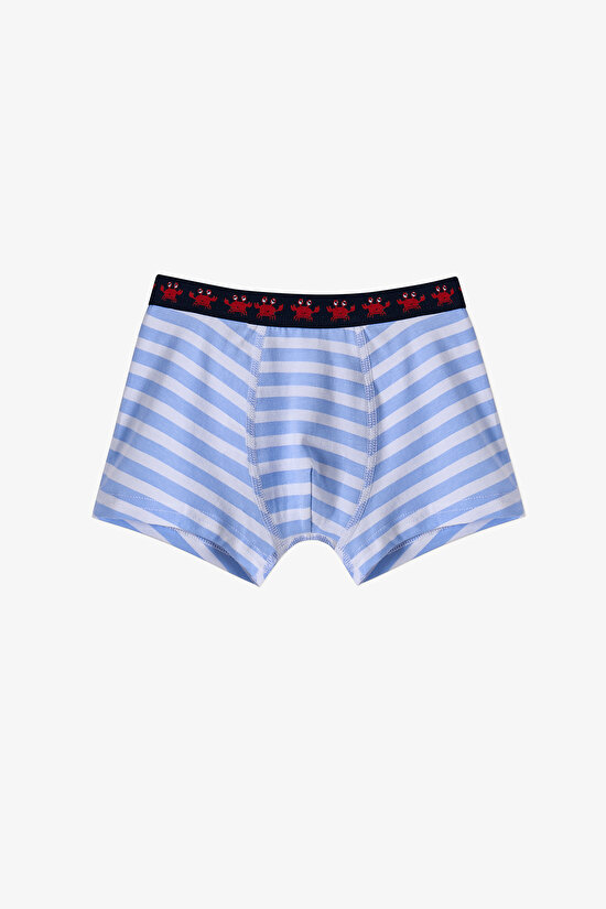 Mavi Erkek Çocuk Çizgili Crab 3'lü Boxer - 3