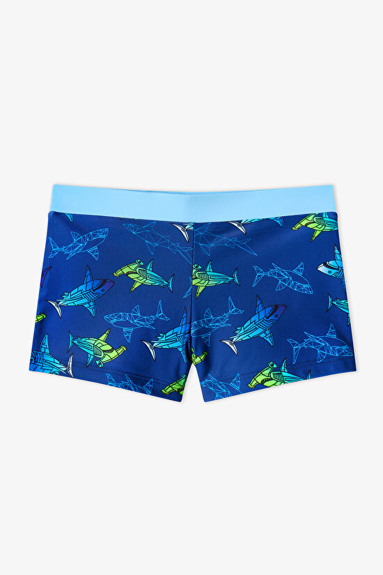 Renkli Erkek Çocuk Gradient Shark Trunk Mayo - 1