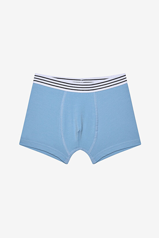 Boys Family Dog 2in1 Multi Colour Boxer - 3