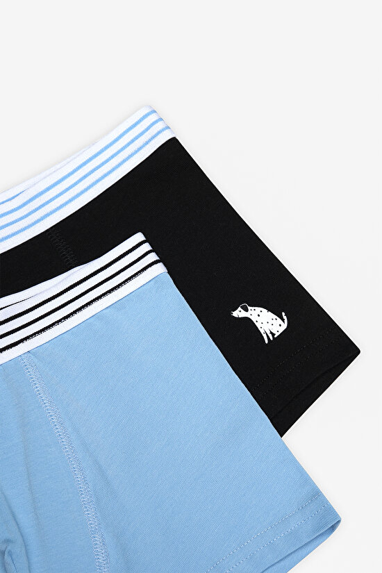 Boys Family Dog 2in1 Multi Colour Boxer - 4