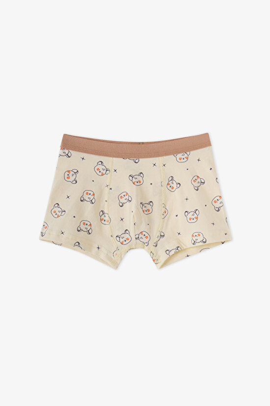 Erkek Çocuk Mavi Cute Animals Pamuklu 3'lü Boxer - 2
