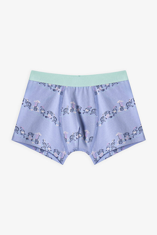 Mavi Erkek Çocuk Runner 3'lü Boxer - 3