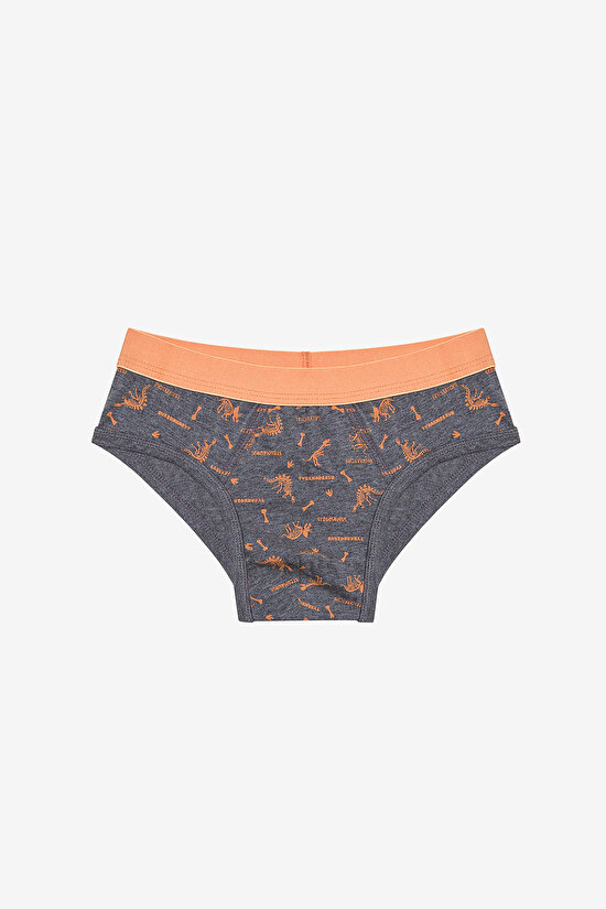 Erkek Çocuk Blue Solid 3lü Çok Renkli Slip Külot - 4