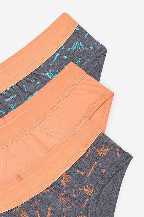 Erkek Çocuk Blue Solid 3lü Çok Renkli Slip Külot - 5