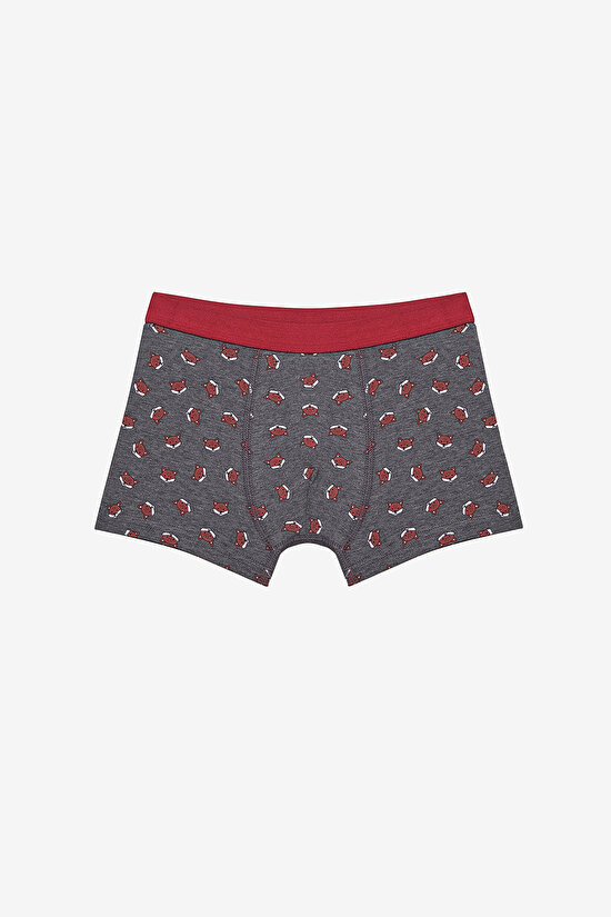 Erkek Çocuk Fun Fox 3lü Çok Renkli Boxer - 4