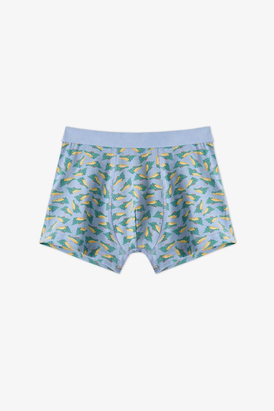 Boys' Blue Soft Dragon Dinosaur Print 3 Pack Boxers - 2