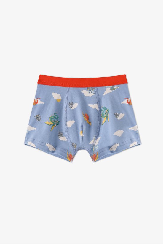 Boys' Blue Soft Dragon Dinosaur Print 3 Pack Boxers - 3