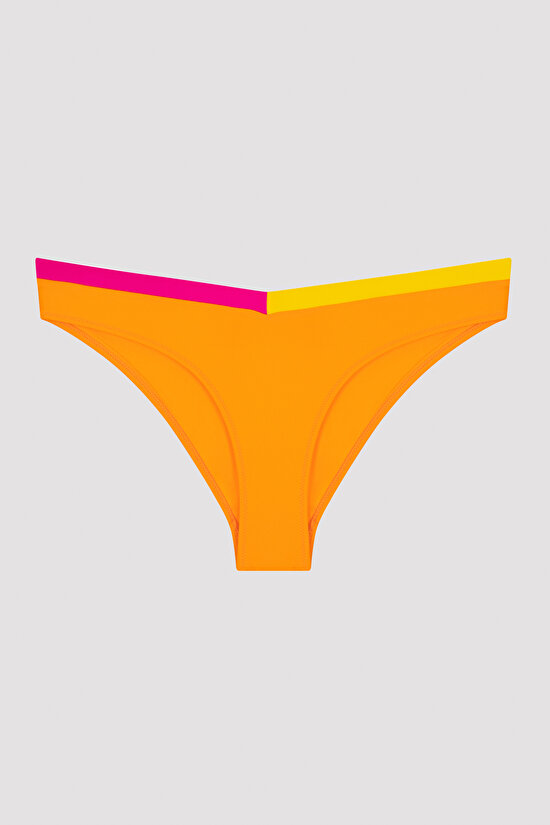 Çok Renkli Santos V Kesim Bikini Altı - 4