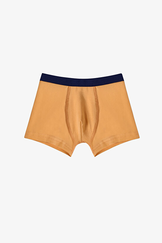 Renkli Erkek Çocuk Sardines 3'lü Boxer - 3