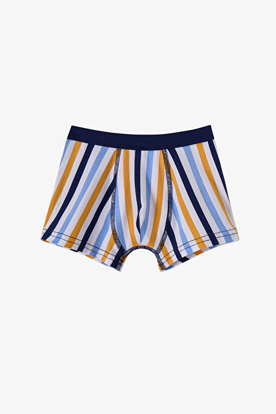 Renkli Erkek Çocuk Sardines 3'lü Boxer - 4