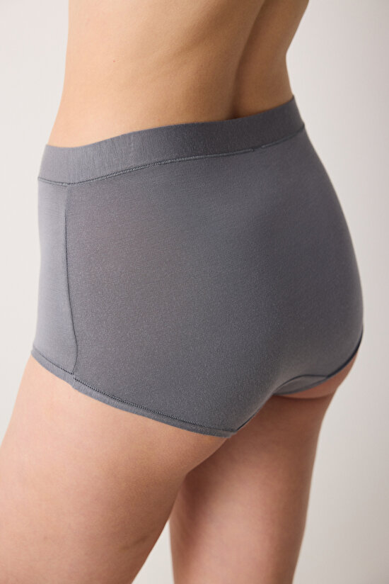 Penti Aging Collagen Yüksek Bel Gri Slip Külot - 4