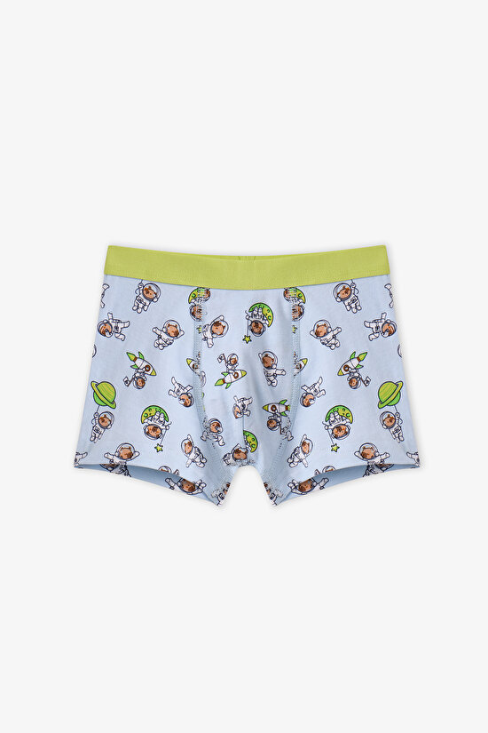 Boys' Blue Capybaras Space Animal Print 3 Pack Boxers - 2