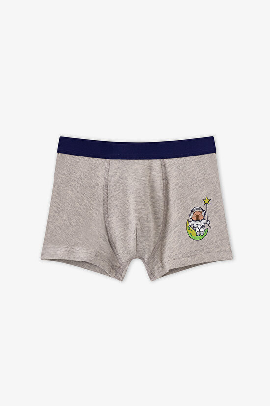Boys' Blue Capybaras Space Animal Print 3 Pack Boxers - 3