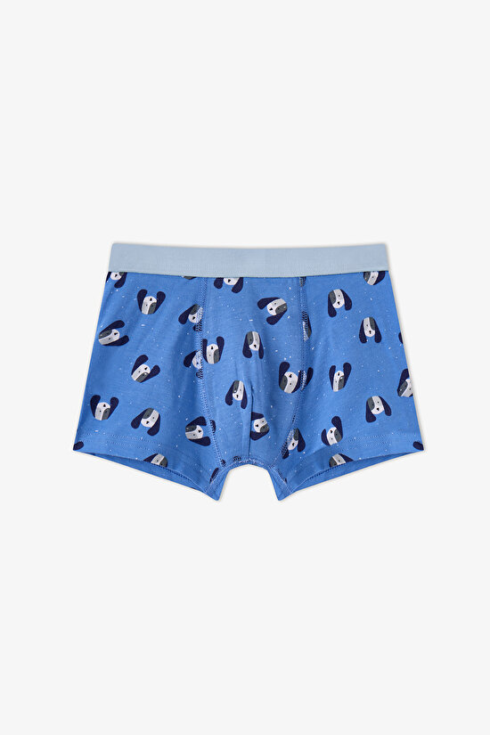Erkek Çocuk Mavi Paws For Joy Pamuklu 3'lü Boxer - 3