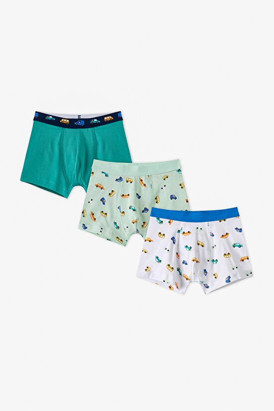 Boys' Capybaras With Cars Car Patterned 3-Pack Boxers - 1
