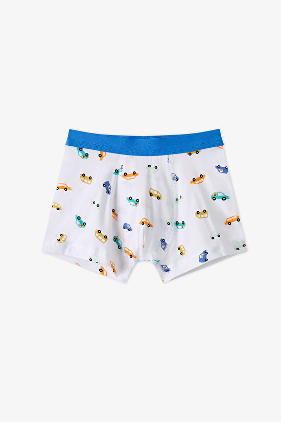 Boys' Capybaras With Cars Car Patterned 3-Pack Boxers - 3
