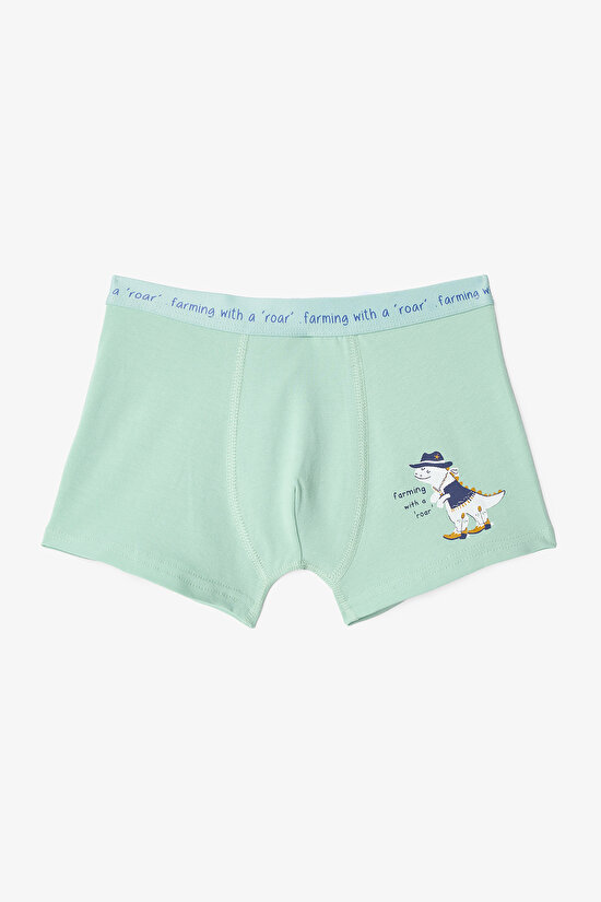 Erkek Çocuk Dino Farm Pamuklu 2'li Boxer Erkek Çocuk Dino Farm Pamuklu 2'li Boxer - 3