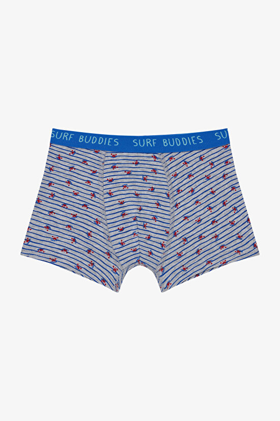 Erkek Çocuk Surf Buddies Çok Renkli 2'li Boxer Erkek Çocuk Surf Buddies Çok Renkli 2'li Boxer - 3