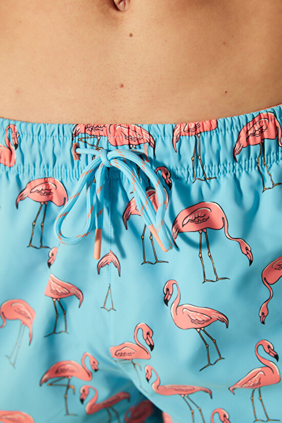 Flamingo Sea Shorts - 4