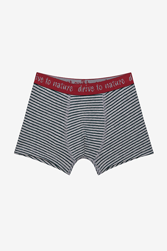 Boys Drive To Nature 2in1 Multi Colour Boxer - 3