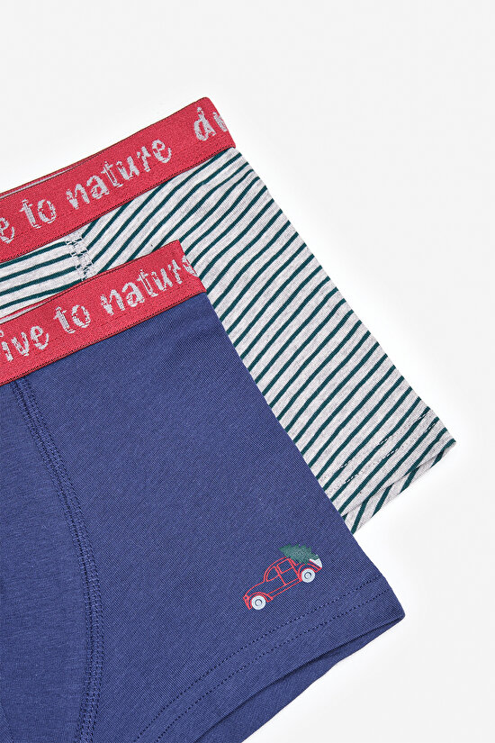 Boys Drive To Nature 2in1 Multi Colour Boxer - 4