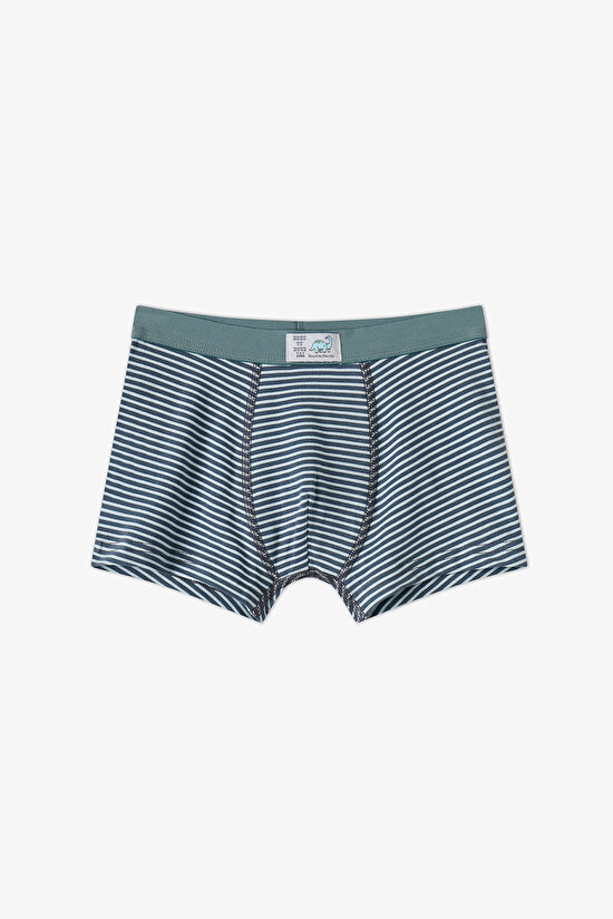 Erkek Çocuk Mavi Dino Dash Pamuklu 3'lü Boxer - 2