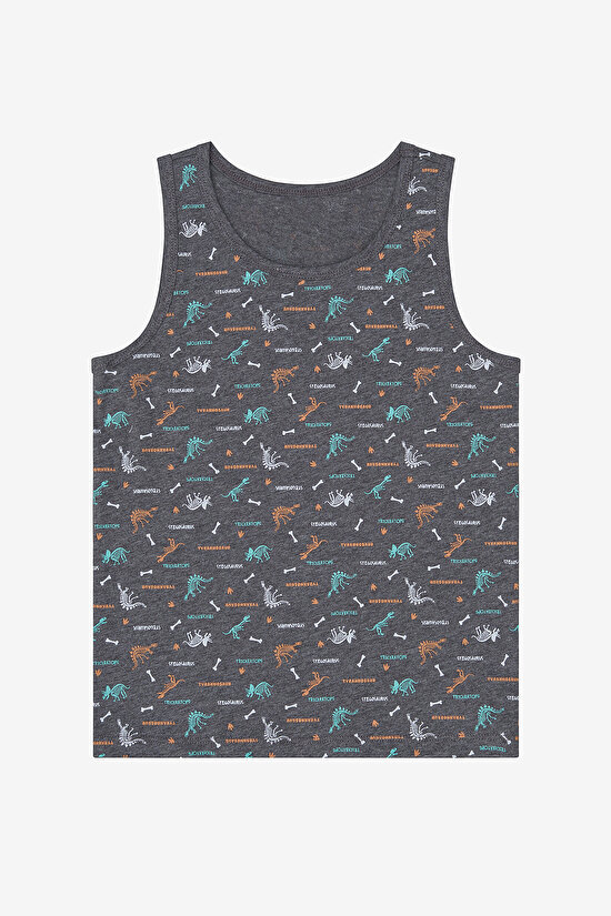 Boys Big Dino 2in1 Multi Colour Vest - 3