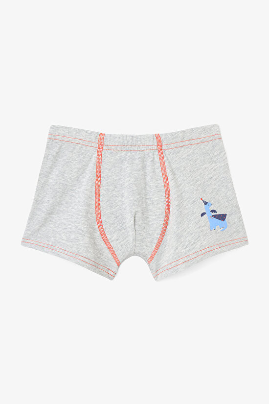 Erkek Çocuk Carousel Dinozor Baskılı 2'li Boxer Erkek Çocuk Carousel Dinozor Baskılı 2'li Boxer - 3