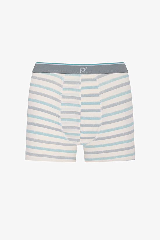 Erkek Renkli Soft Grid Çoklu Boxer - 4