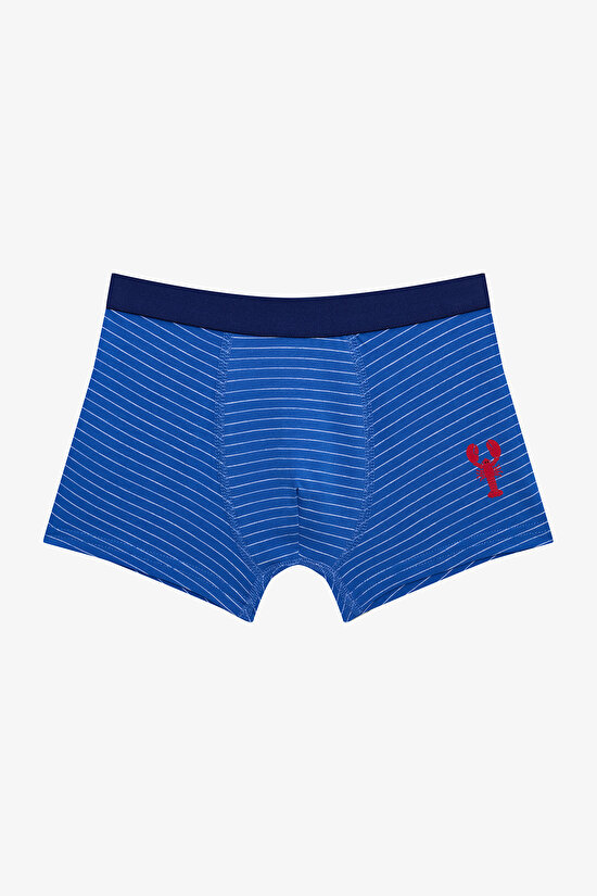 Erkek Çocuk Mediterranean Çok Renkli 2’li Paket Boxer Erkek Çocuk Mediterranean Çok Renkli 2’li Paket Boxer - 3
