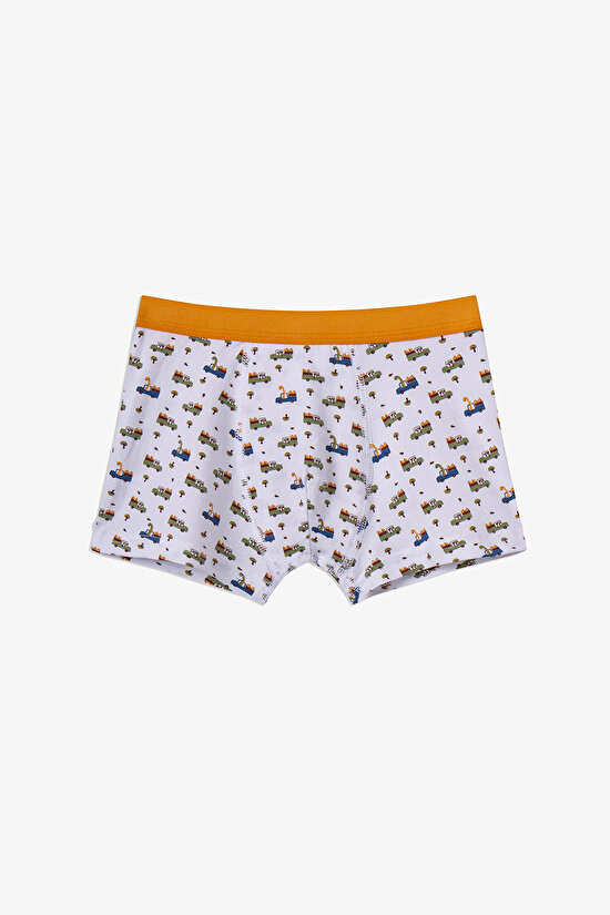 Haki Erkek Çocuk Dino in The Field 3'lü Boxer - 3