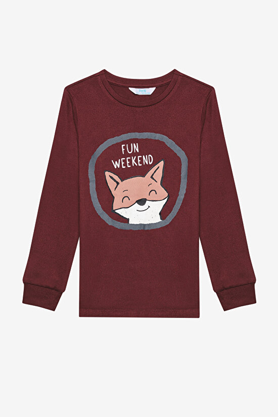 Boys Fun Fox Green  PJ Set - 5