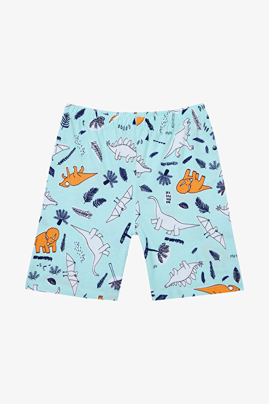 Erkek Çocuk Sleepysaurus Pamuklu 2li Çok Renkli Pijama Takımı - 4