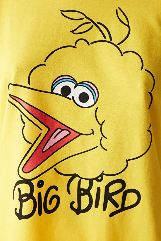 Big Bird Yellow PJ Set - 3