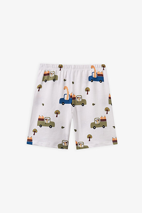 Haki Erkek Çocuk Dino in The Field 2'li Pijama Takımı - 9