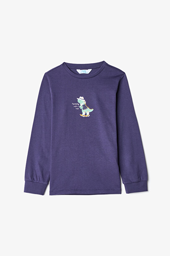 Erkek Çocuk Dino Farm Çizgili Pamuklu Uzun Kollu 2'li Pijama Takımı - 6