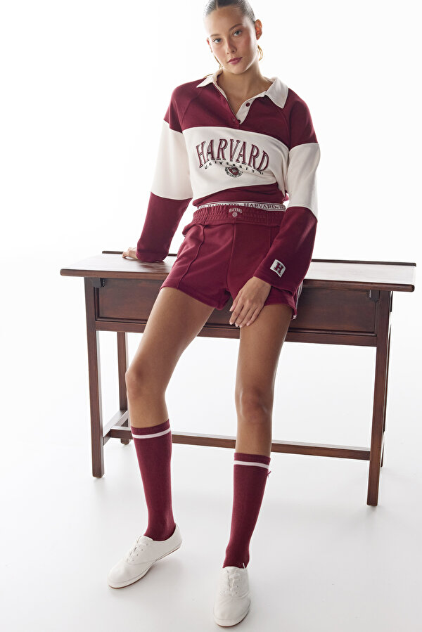 Bordo Harvard Şerit Detaylı Retro Şort - 2 AL 1 ÖDE