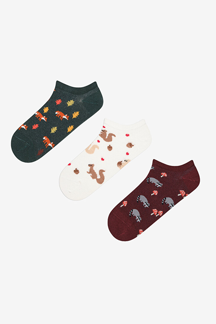 Animal World 3in1 Burgundy Multi Colour Liner Socks - 1