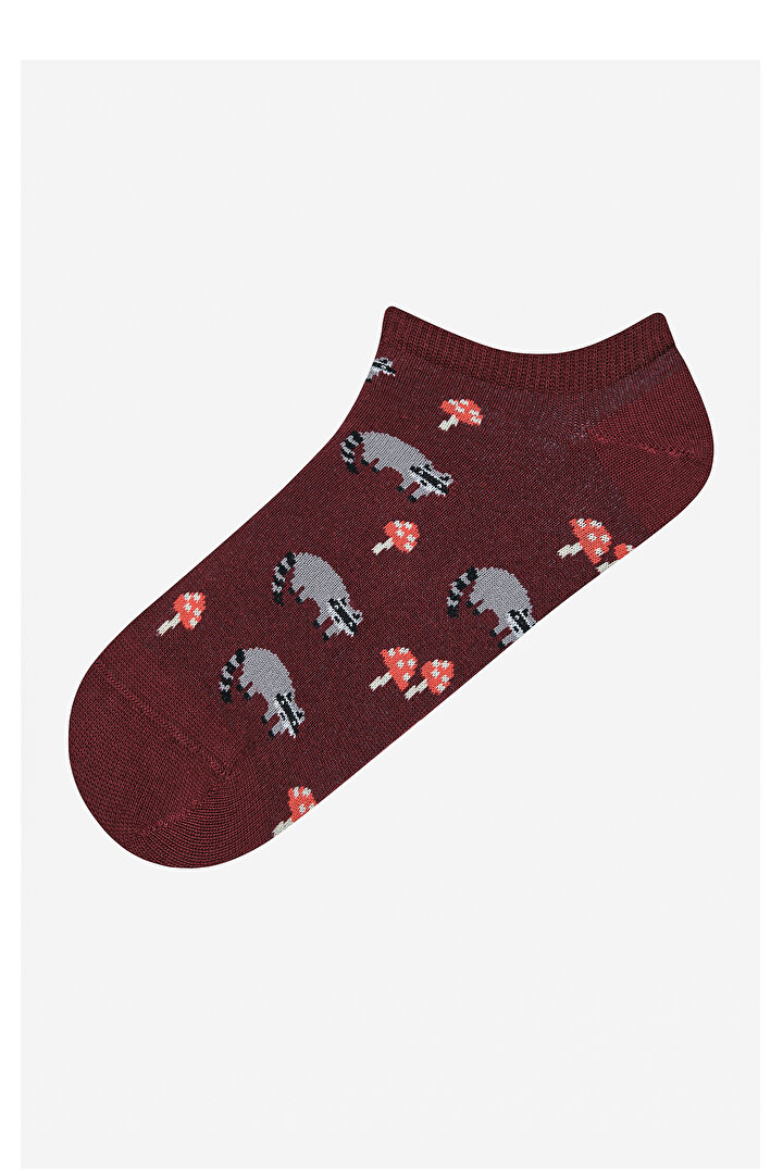 Animal World 3in1 Burgundy Multi Colour Liner Socks - 4