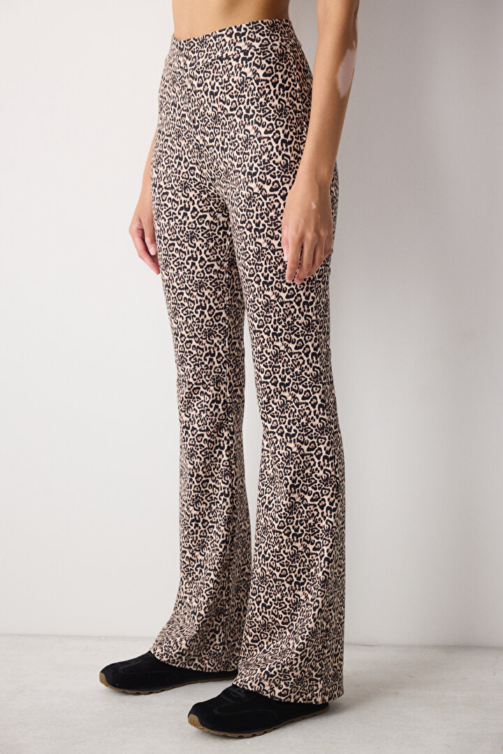 Flare Leopard Multi Colour Pants - 1